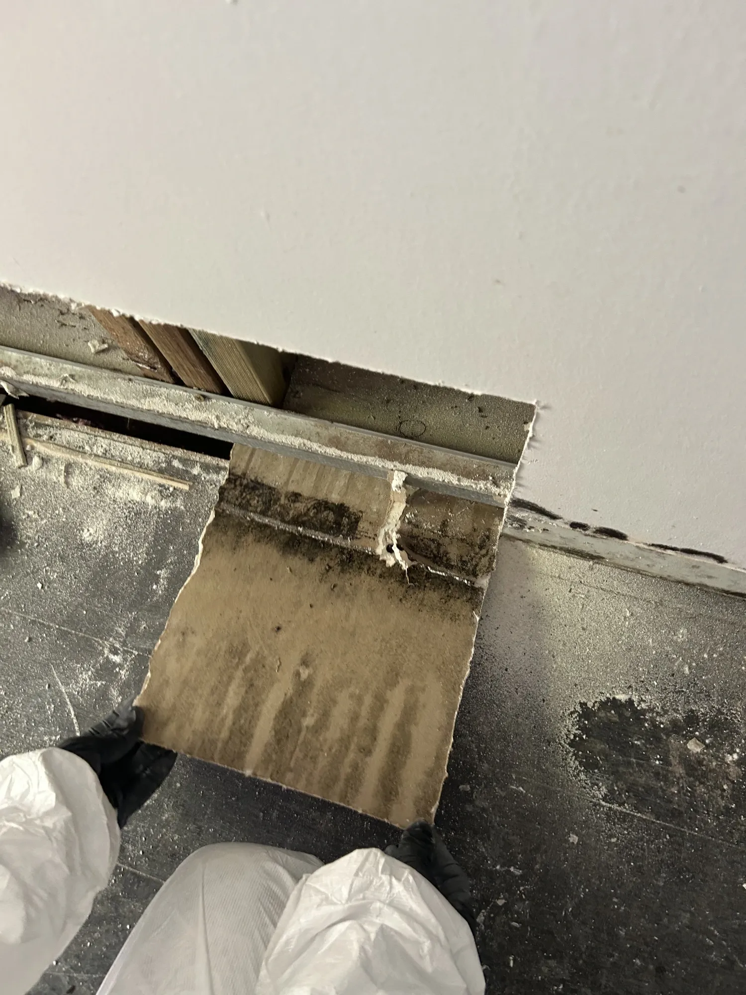 Property make-safe and restoration works